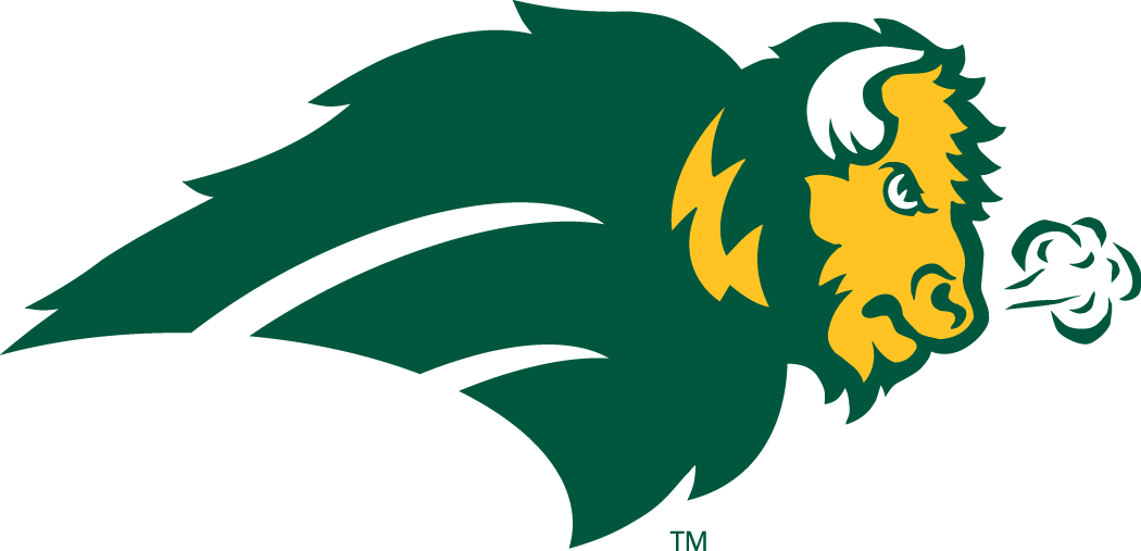 North Dakota State Bison 2005-2011 Alternate Logo v2 diy iron on heat transfer